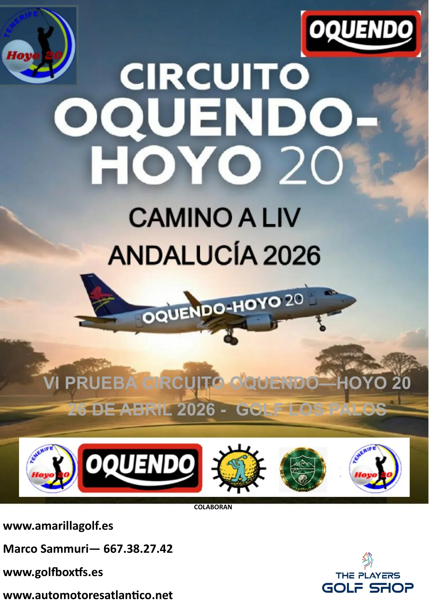 Cartel de VII TORNEO CIRCUITO OQUENDO-HOYO 20
